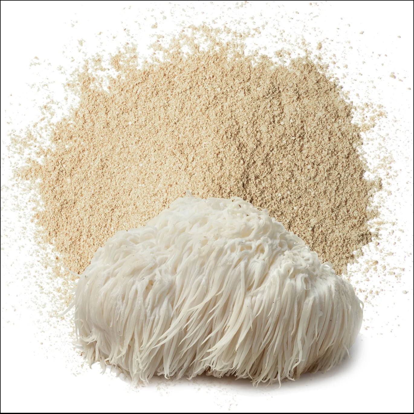 Lion's Mane Mushroom Powder Capsules