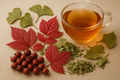 hawthorne, red raspberry and ginkgo tea